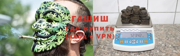 прущие грибы Богородицк