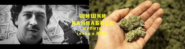 прущие грибы Богородицк