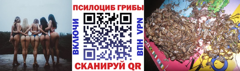 Псилоцибиновые грибы MAGIC MUSHROOMS  мега сайт  Вяземский  купить наркотик 